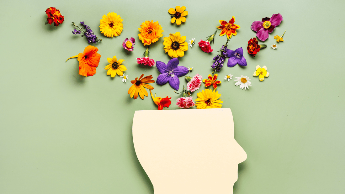 Probiotics and Mental Health: Understanding the Gut-Brain Connection - Nutracene