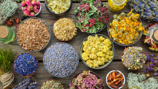 Ayurveda for Beginners: A Holistic Path to Wellness