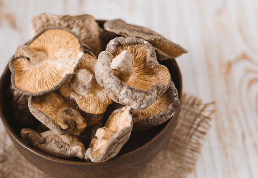 What is Reishi Mushrooms: Benefits, Risks, How to use [2023 Nutritionist Reviewed] - Nutracene