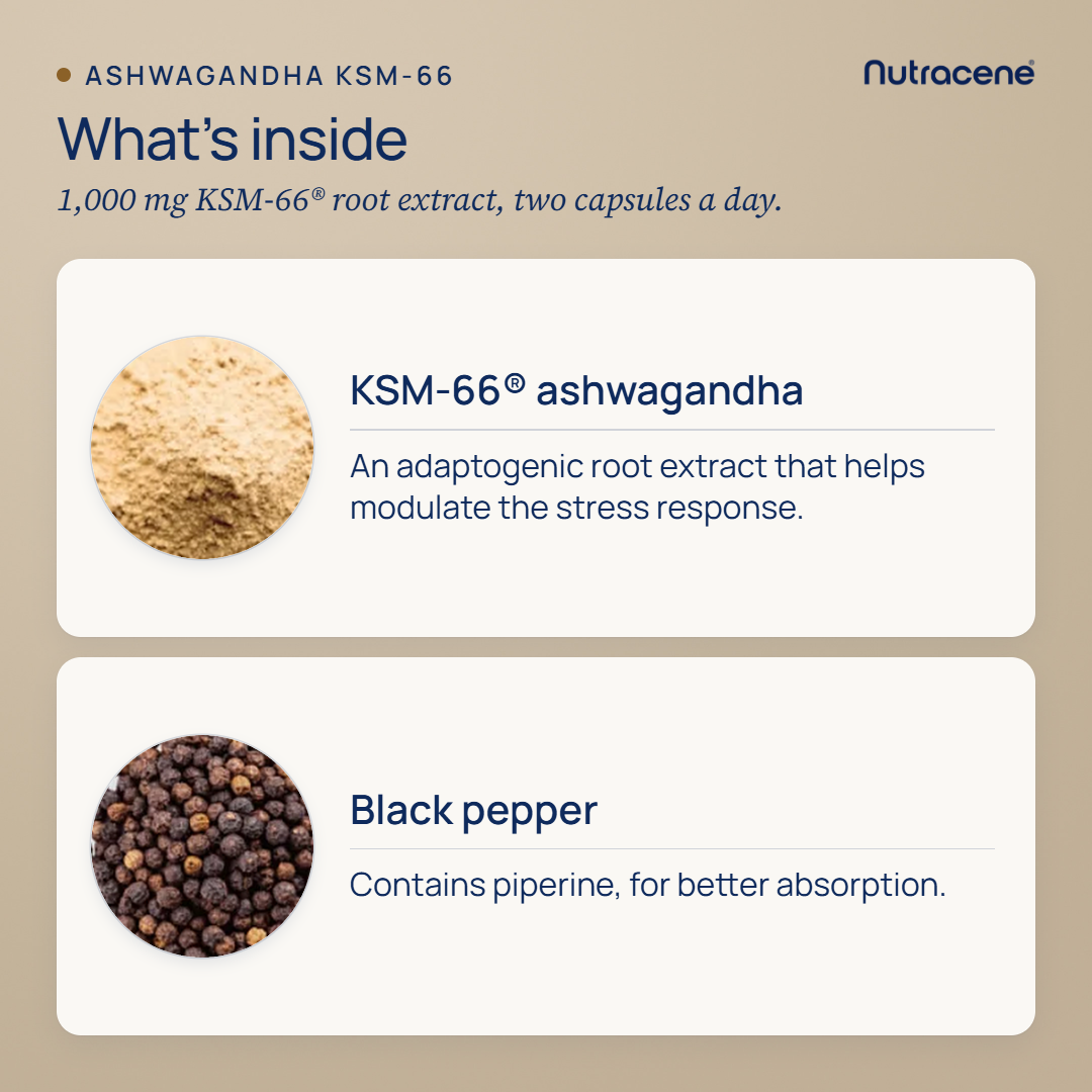 ashwagandha, what's inside